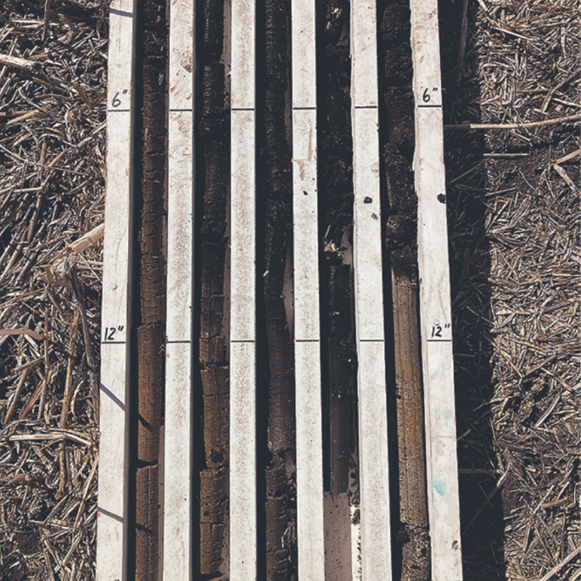 Even Flat Fields can have Variability