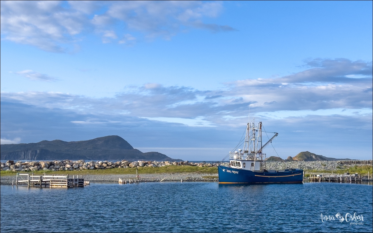 St. John's (I) - Terranova & Labrador: icebergs, puffins y balleneros vascos (31)
