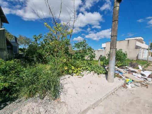Terreno  -   - 0,01m2