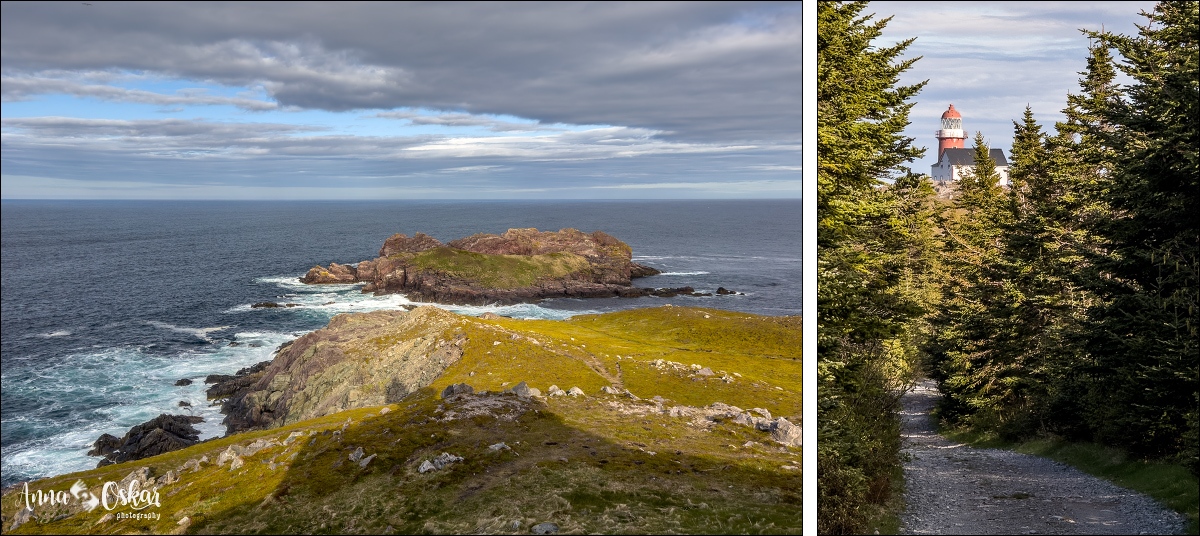 St. John's (I) - Terranova & Labrador: icebergs, puffins y balleneros vascos (30)