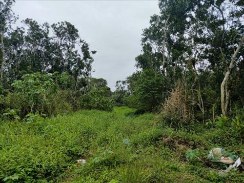 Lote de terreno urbano no 05 (cinco), da quadra no 48 (quarenta e oito)