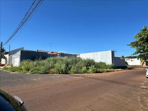 LOTE 556        SERTAOZINHO/SP