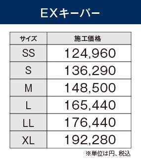 EX_price