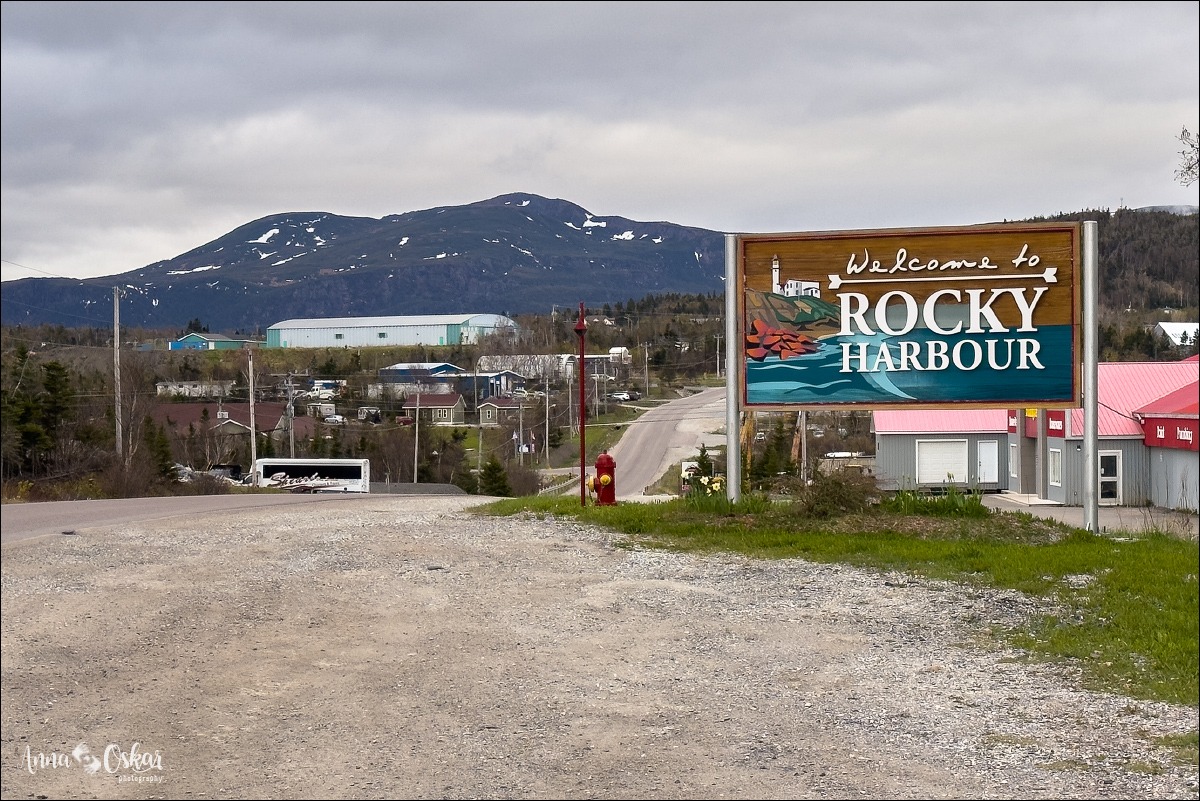 Terranova & Labrador: icebergs, puffins y balleneros vascos - Blogs de Canada - Llegada a Terranova y traslado a Rocky Harbour (28)
