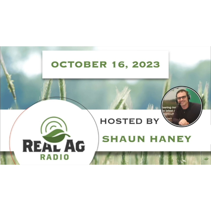 Thinking Bigger than Nitrogen when Planning Crop Fertility