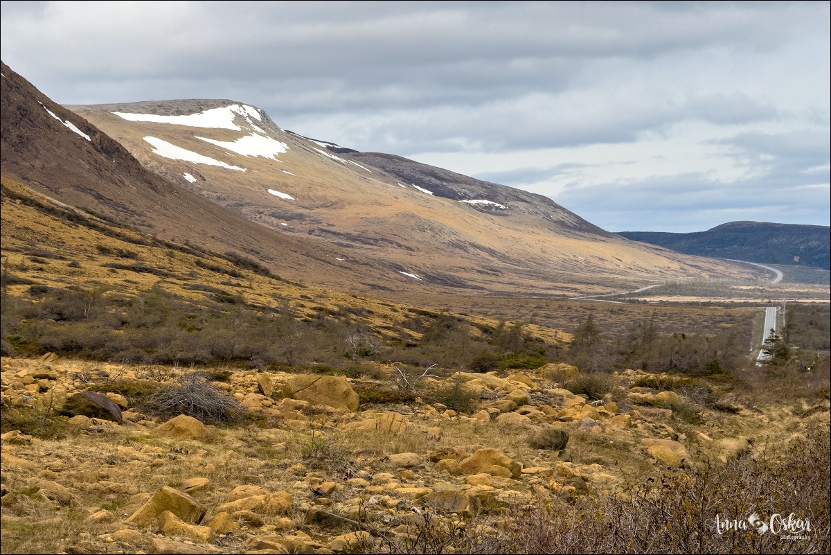 Terranova & Labrador: icebergs, puffins y balleneros vascos - Blogs de Canada - Gros Morne National Park (I) (3)