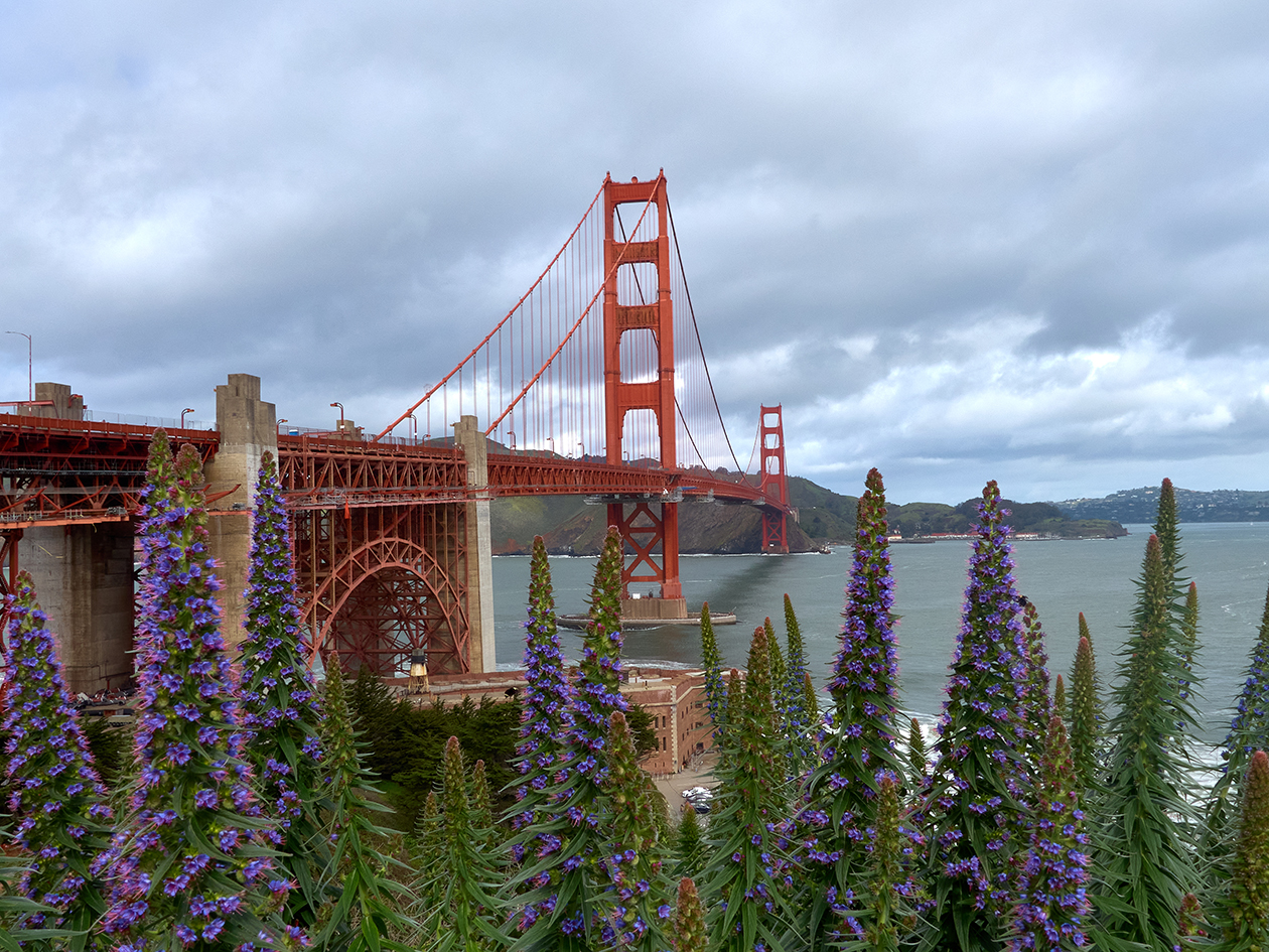 Golden Gate Golden Gate