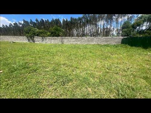 Terreno na Colônia Dona Luíza - Ponta Grossa/PR