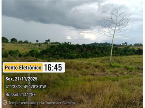 Área Rural à venda em leilão