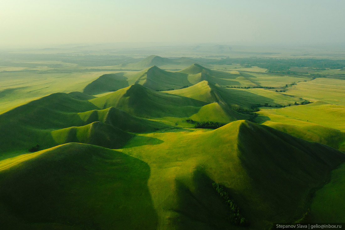 Wildlife Photographer of the Year