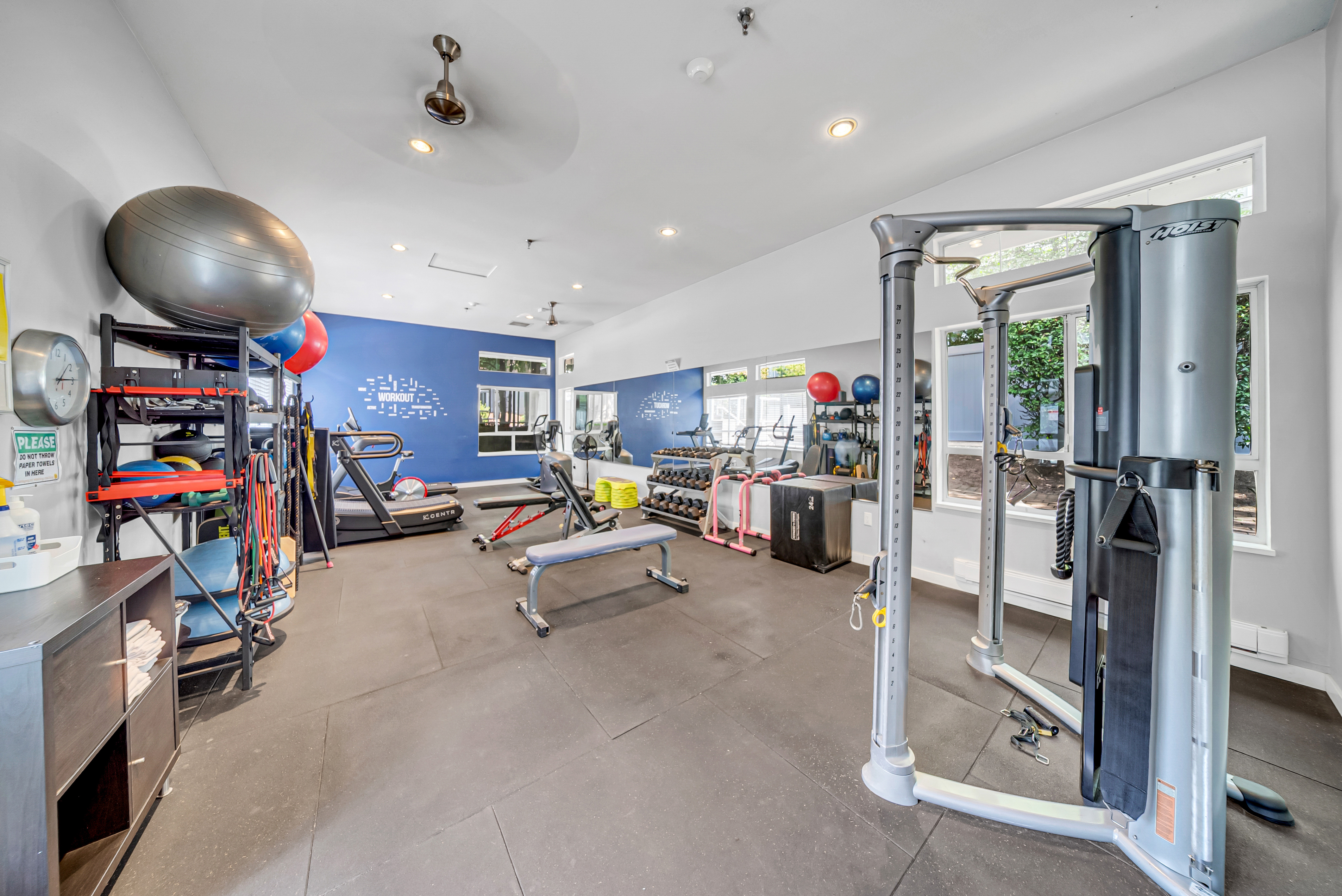 Gym