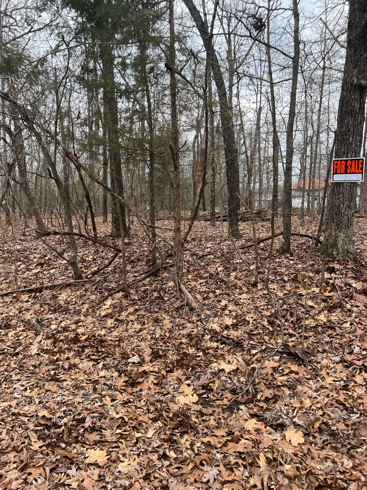 901 White Oak photo 5