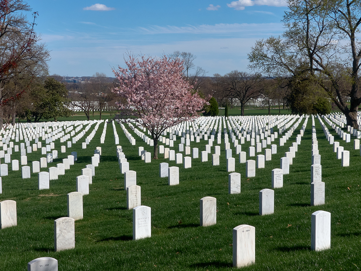 Cementerio de Arlington Cementerio de Arlington