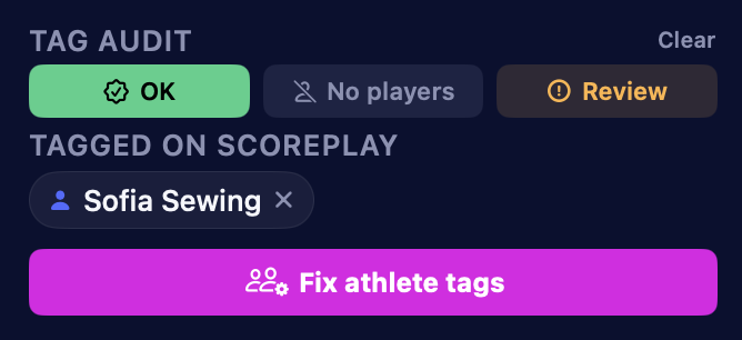 FrameFlow tag-audit view - OK, Review, and No players states