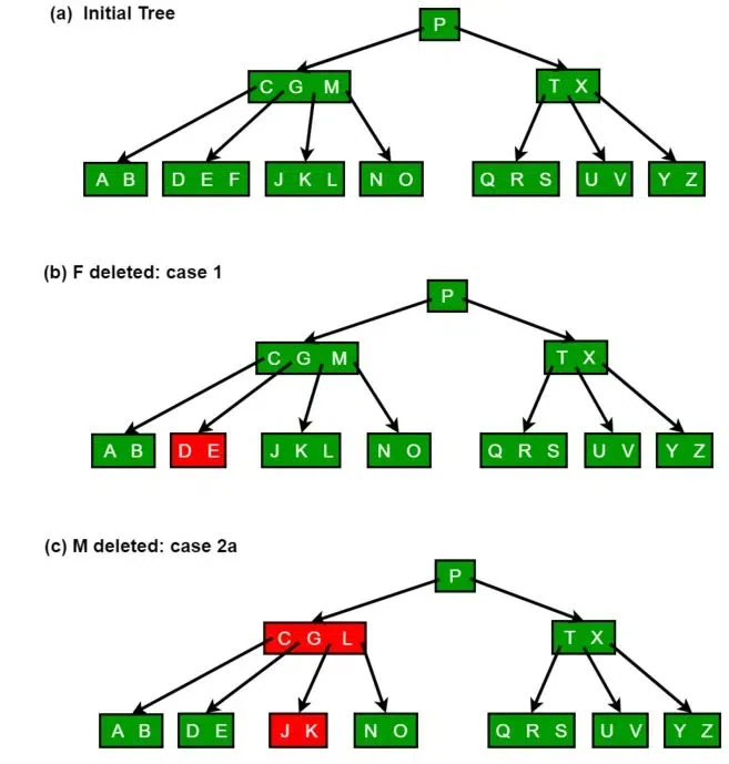 B-Tree Database Project