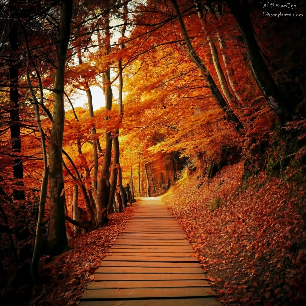The last days of fall