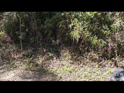 Terreno  -   - 2.730,00m2