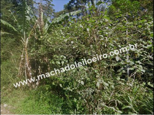 LOTE 170        [51272] FRAÇÃO IDEAL 10.5 ALQUEIRES - Estr...