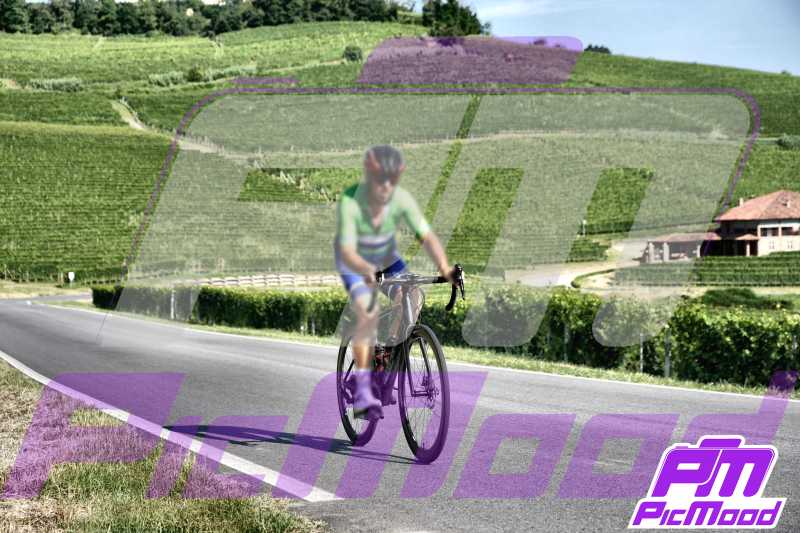 Barolo