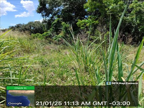 Lote, Consultar, Jardim Santa Rita de Cássia