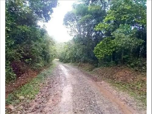 Terreno à venda em leilão