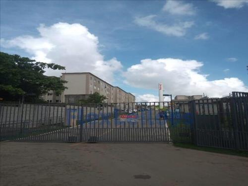 APARTAMENTO - CELEIRO DAS ALEGRIAS FUTURAS