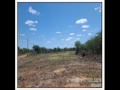 Terreno  -   -