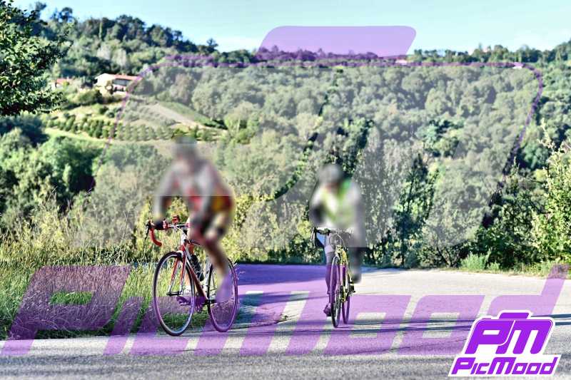 Monferrato