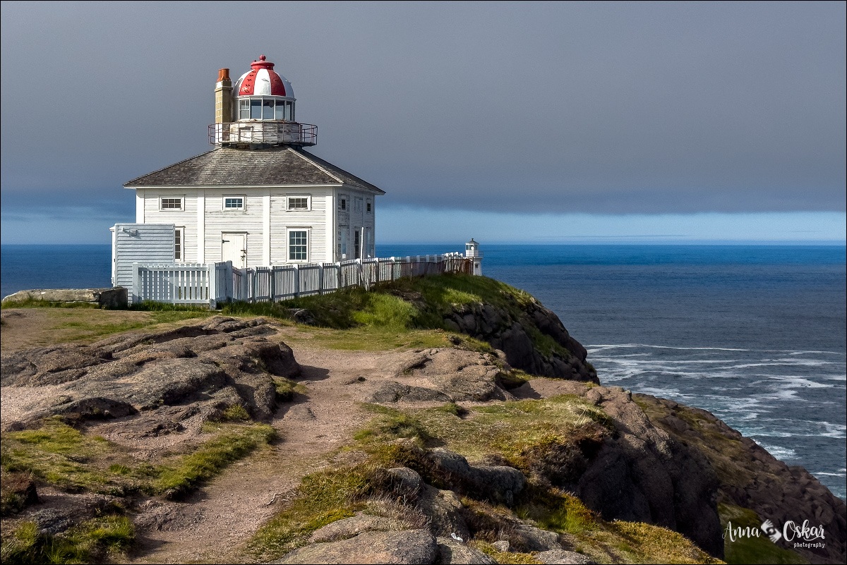 St. John's (II) - Terranova & Labrador: icebergs, puffins y balleneros vascos (15)