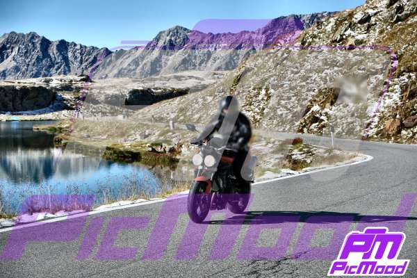 Passo Gavia