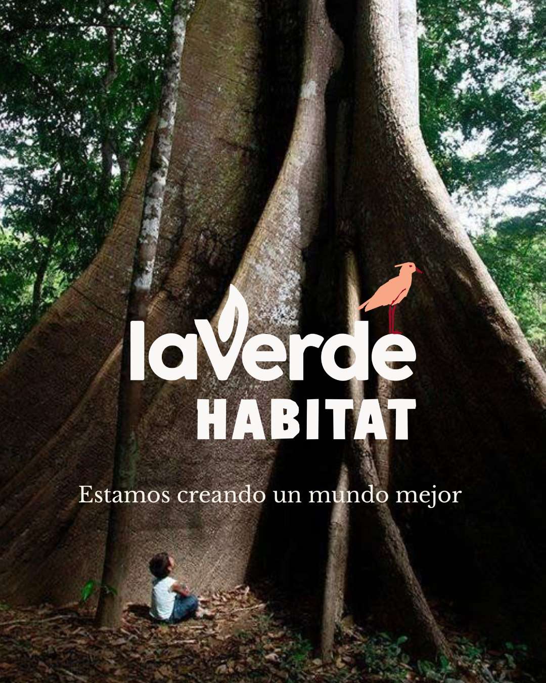 Descripción