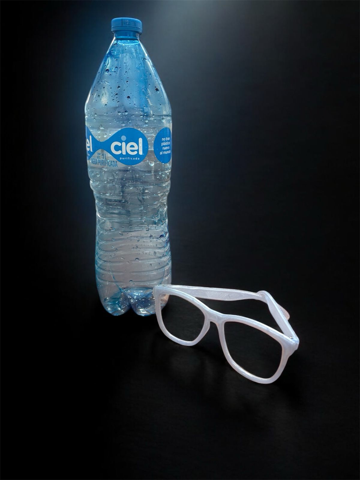 Descripción