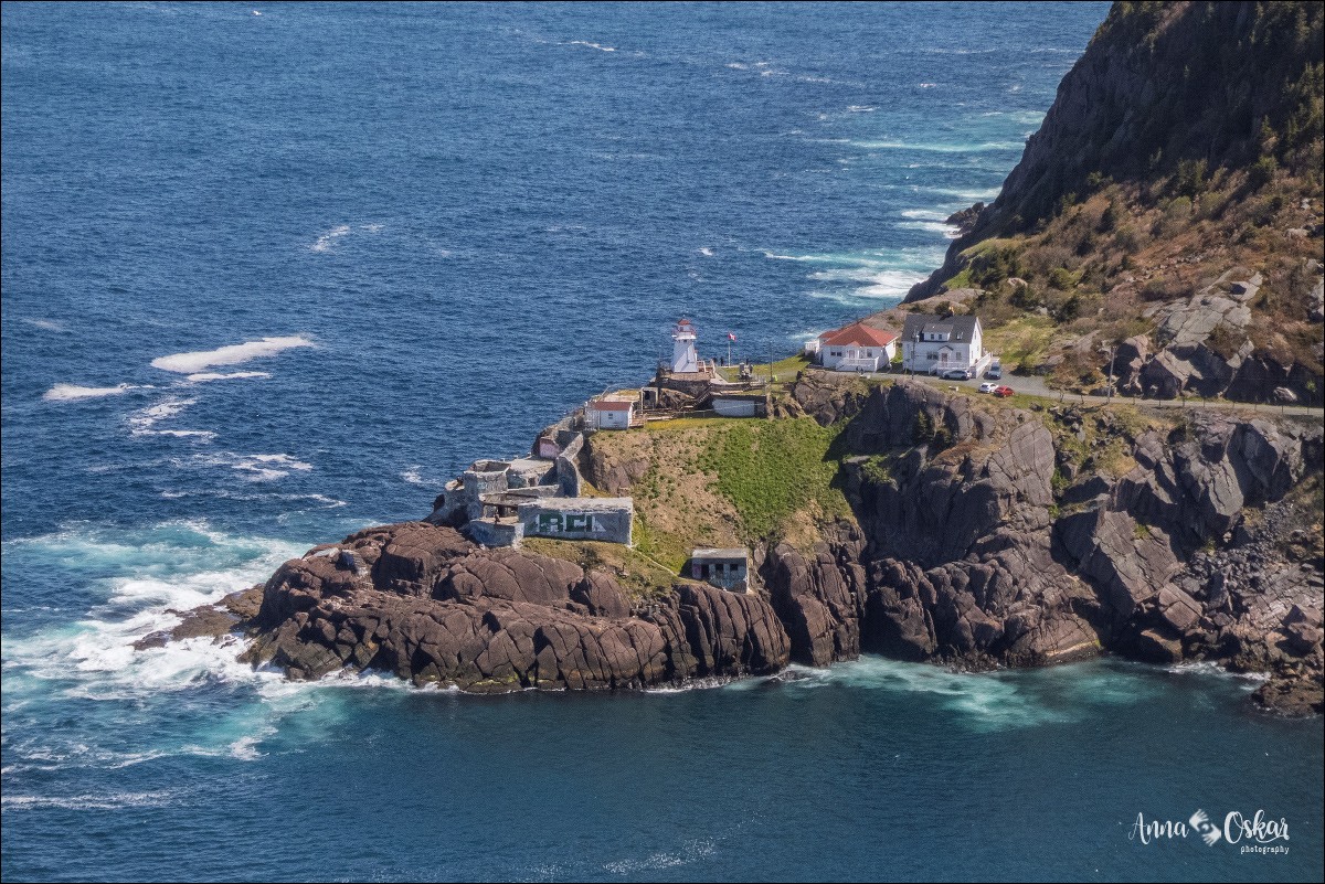 St. John's (II) - Terranova & Labrador: icebergs, puffins y balleneros vascos (12)