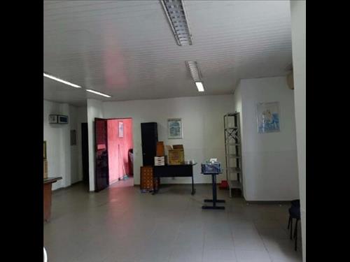 LOTE ANTERIOR