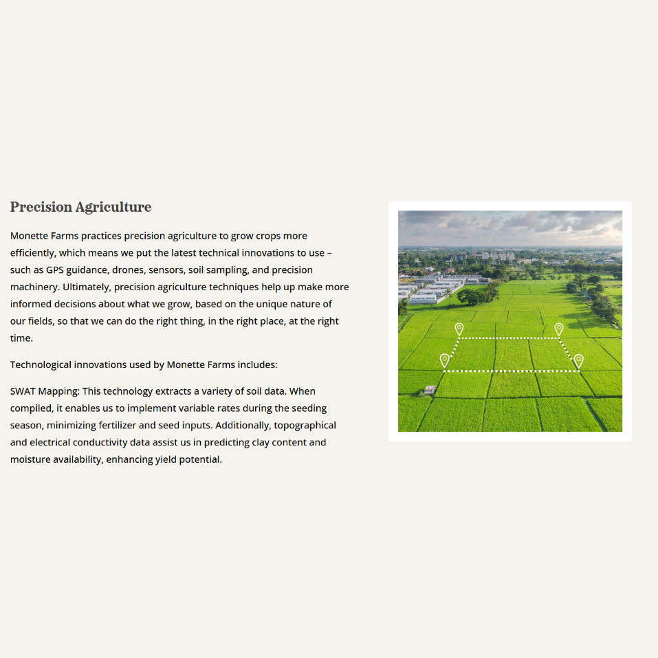 Sustainability and Community