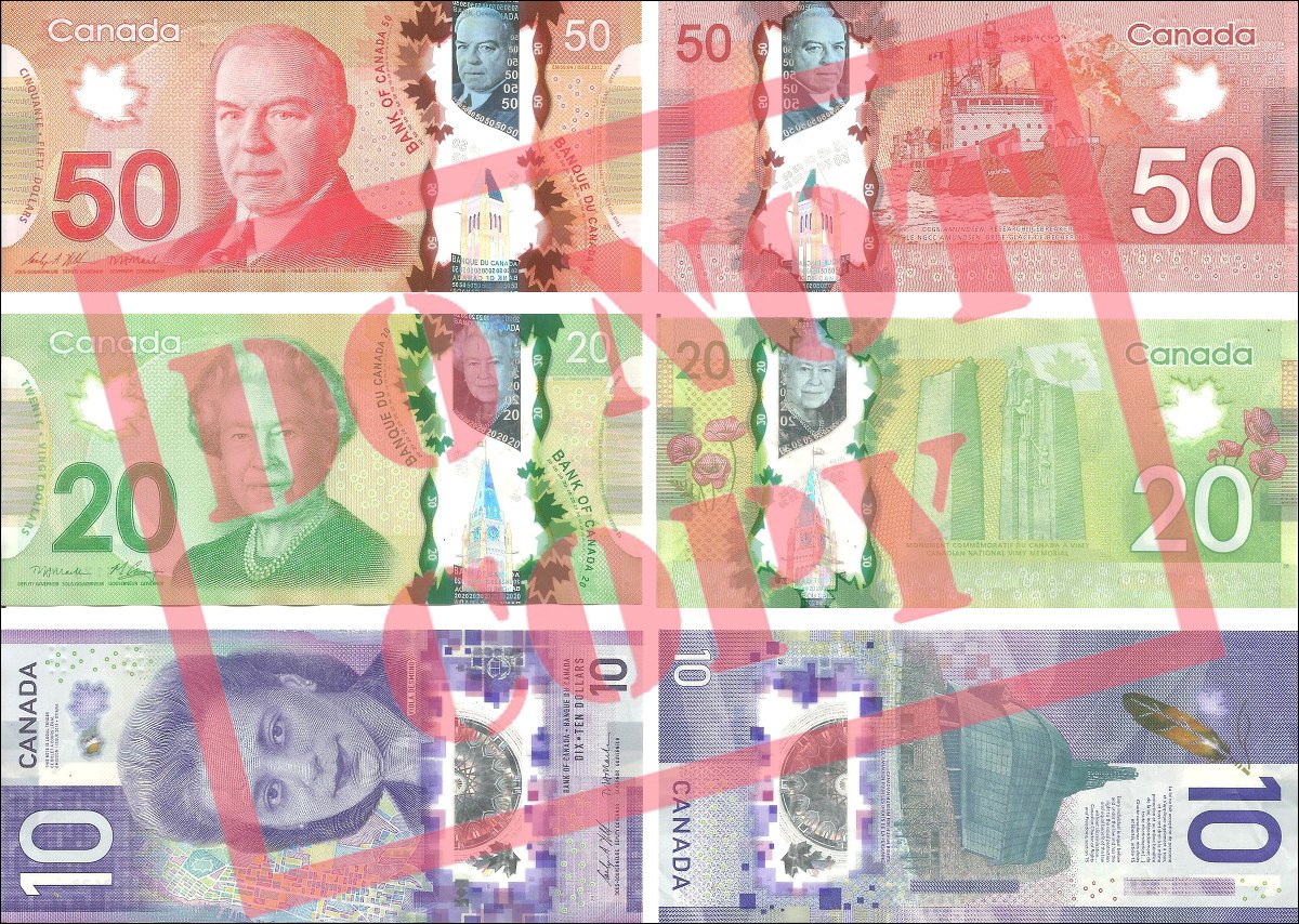Terranova & Labrador: icebergs, puffins y balleneros vascos - Blogs de Canada - Preparación del viaje (8)