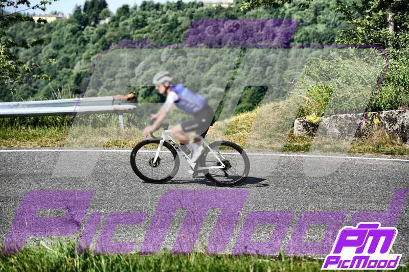 Colli San Fermo