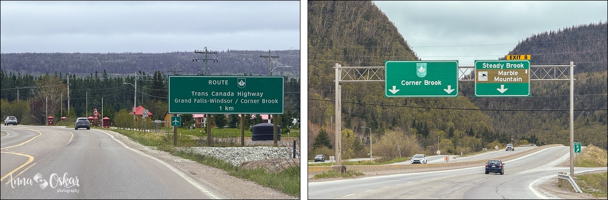 Terranova & Labrador: icebergs, puffins y balleneros vascos - Blogs de Canada - Gros Morne National Park (I) (10)