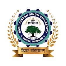 Babu Dinesh Singh University