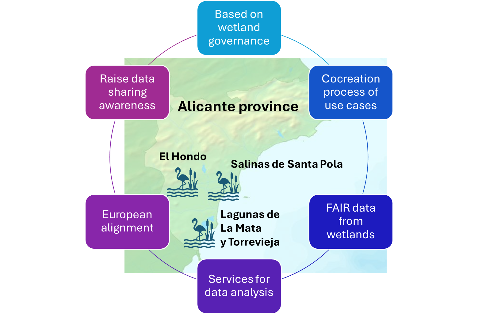 Descripción