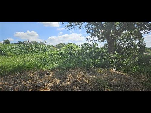 Terreno  -   -