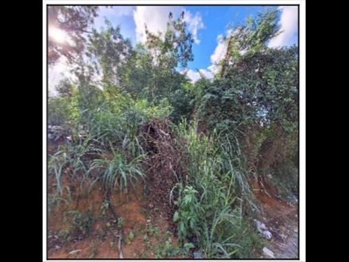 Terreno  -   - 300,00m2
