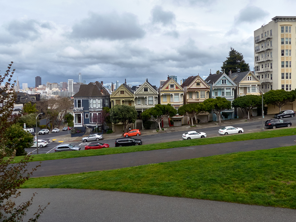 Painted Ladies Painted Ladies