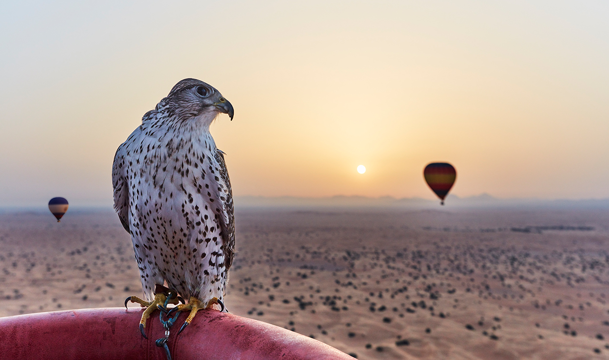 Explore the Essence of Travel 