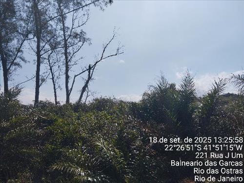 Terreno  -   - 715,00m2