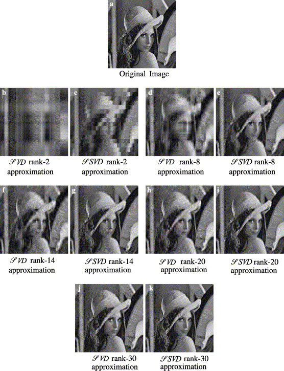 SVD Image Compression Project