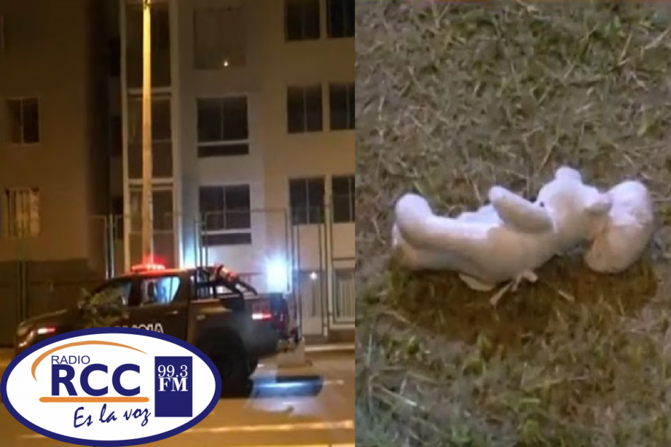 NIÑA DE DOS AÑOS PERDIÓ LA VIDA TRAS CAER DESDE EL OCTAVO PISO DE UN ...