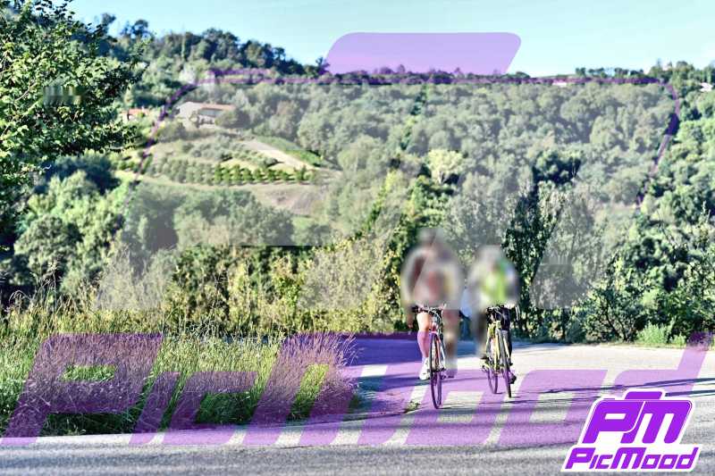 Monferrato