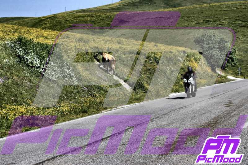 Passo del Branchetto