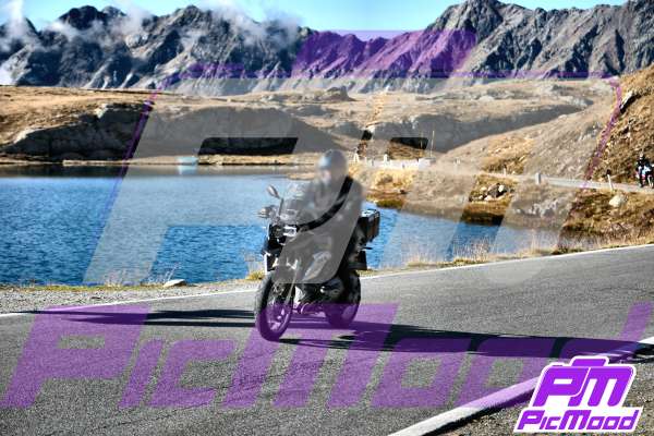 Passo Gavia